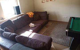 Vilnius Cat Friendly